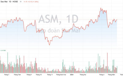 Cổ phiếu ASM: Thông tin, Phân tích, Tiềm năng và Định giá chi tiết