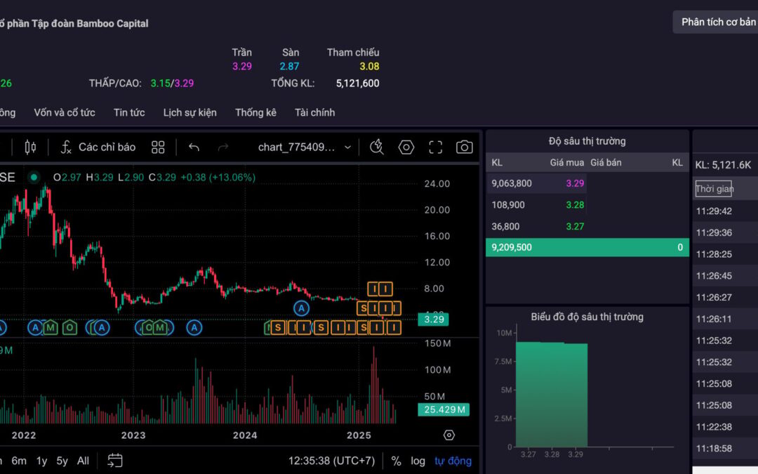 Cổ phiếu BCG: Thông tin, Giá trị, Tiềm năng và Chiến lược đầu tư bền vững