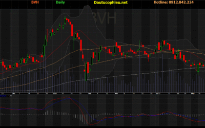 Cổ phiếu BVH: Thông tin, Lịch sử giá, Phân tích và Tiềm năng đầu tư