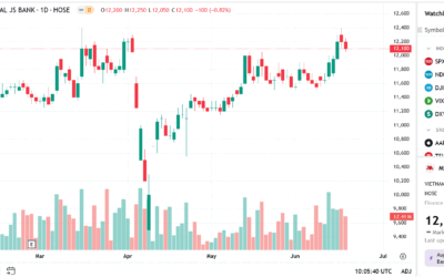 Cổ phiếu Cảng Sài Gòn (SGP): Thông tin, Đặc điểm, Phân tích và Tiềm năng đầu tư