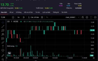 Cổ phiếu CII: Thông tin, Đặc điểm, Phân tích Toàn diện và Tiềm năng Đầu tư