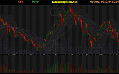 Cổ Phiếu CSV – Triển Vọng Đầu Tư Và Kỳ Vọng Trong Năm 2025