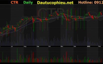 Cổ Phiếu CTR: Chìa Khóa Thịnh Vượng Từ Ông Lớn Hạ Tầng Viễn Thông Viettel