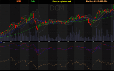 Cổ phiếu DCM (PVCFC): Thông tin, Phân tích Tài chính, Đánh giá Tiềm năng và Rủi ro đầu tư