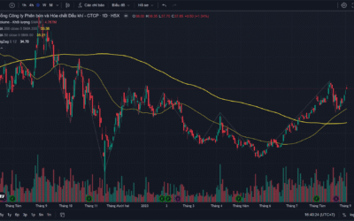 Cổ phiếu DPM: Thông tin, Đặc điểm, Lịch sử giá và Đánh giá tiềm năng