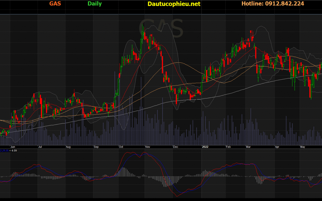 Cổ phiếu GAS: Thông tin, Đặc điểm, Phân tích Tiềm năng và Lịch sử Giá