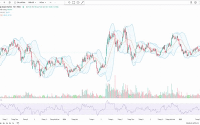 Cổ phiếu HDG: Thông tin, Phân tích, Định giá và Lịch sử Giá
