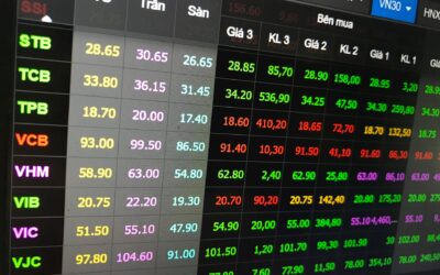 Cổ Phiếu Họ Vingroup: Giải Mã Toàn Tập & Có Nên Đầu Tư Năm 2025?