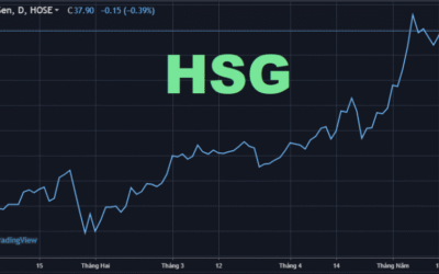 Cổ Phiếu HSG: Phân Tích Chuyên Sâu Triển Vọng Và Rủi Ro 2025 – “Nở Hoa” Hay “Bế Tắc”?
