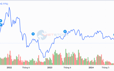 Cổ phiếu LCG: Thông tin, Đặc điểm, Tiềm năng và Phân tích