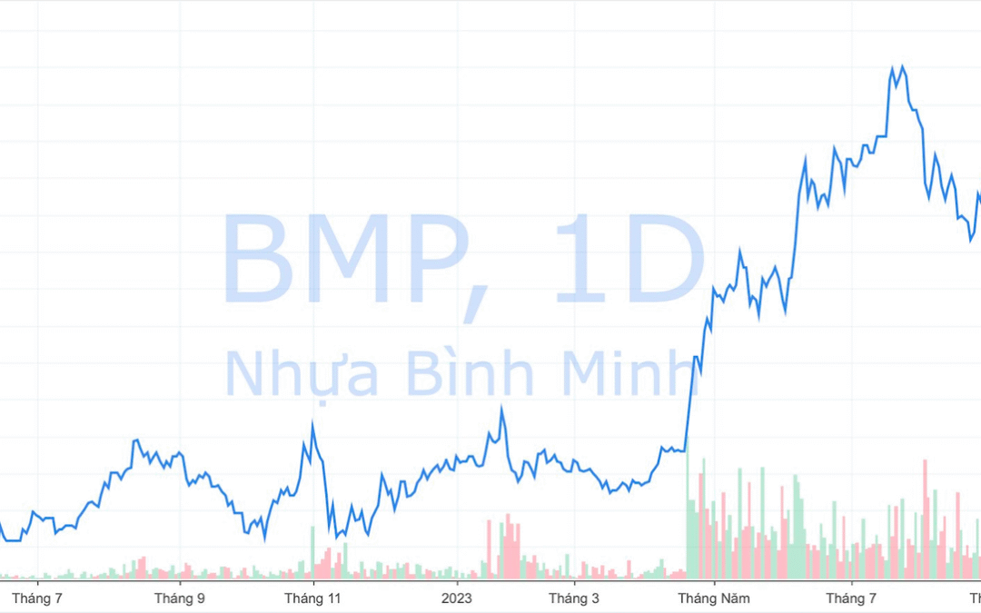 Cổ phiếu BMP: Thông tin, Phân tích Tài chính, Định giá và Chiến lược Đầu tư
