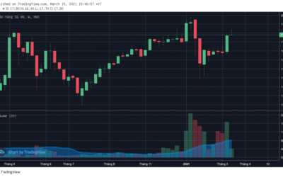 Cổ phiếu SHB: Thông tin, Phân tích Báo cáo Tài chính, Định giá và Triển vọng Đầu tư
