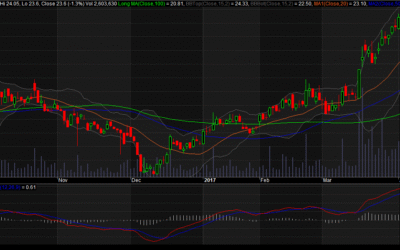 Cổ Phiếu SSI 2025: Giải Mã Bảng Giá SSI Và Lộ Trình Đầu Tư Bền Vững