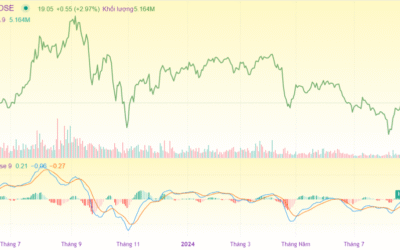 Cổ phiếu VCG: Thông tin, Lịch sử giá, Phân tích và Định giá