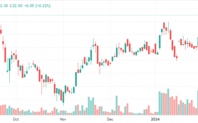 Cổ phiếu VSC (Container Việt Nam): Thông tin, Lịch sử giá, Phân tích tiềm năng, Rủi ro và Định giá