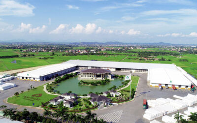 Công Ty Cổ Phần Nhựa An Phát Xanh (AAA): Từ “Vua Bao Bì” Đến “Người Hùng Xanh” Và Cơ Hội Cho Nhà Đầu Tư Thông Minh