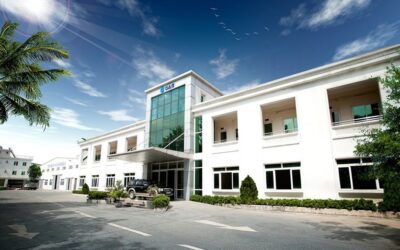 Công Ty Cổ Phần Tập Đoàn Nhựa Đông Á (DAG): Phân Tích Toàn Diện Từ A-Z Cho Nhà Đầu Tư 2025