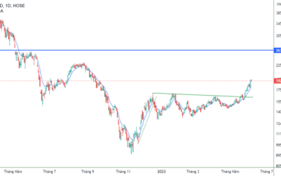 Giá Cổ Phiếu VND: Từ 50 Tỷ Vốn Điều Lệ Đến Khát Vọng Dẫn Dắt Thị Trường – Phân Tích Toàn Diện 2025