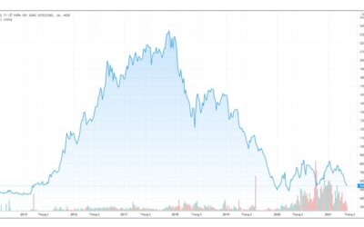 Giá Cổ Phiếu CTD: Chìa Khóa Nào Để Nắm Bắt Cổ Phiếu Coteccons Trong Mắt Nhà Đầu Tư Chuyên Nghiệp?