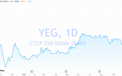 Giá Cổ Phiếu YEG: Hành Trình Từ “Kỳ Lân” Gãy Cánh Đến Cơ Hội Tái Sinh Trong Năm 2025?