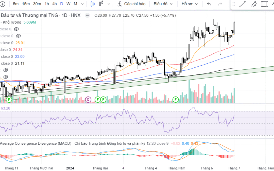 Cổ phiếu TNG: Thông tin, Tiềm năng, Định giá và Rủi ro