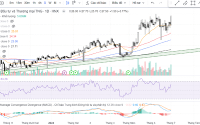 Cổ phiếu TNG: Thông tin, Tiềm năng, Định giá và Rủi ro