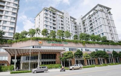 Cổ phiếu Lộc Trời (LTG): Thông tin, Phân tích Tài chính, Tiềm năng và Rủi ro đầu tư