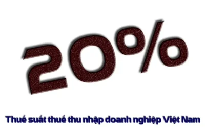 Thuế Suất Thuế Thu Nhập Doanh Nghiệp: Thông Tin, Phân Loại, Mức Thuế Và Cách Áp Dụng