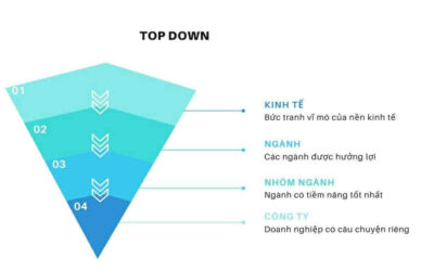 Top-Down Là Gì? Giải Mã Toàn Tập Phương Pháp Từ Vĩ Mô Đến Cổ Phiếu Cùng Chuyên Gia