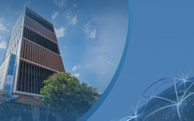 Trung tâm Lưu ký Chứng khoán Việt Nam (VSDC): Thông tin, Vai trò, Chức năng và Quy chế hoạt động