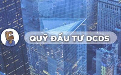 Quỹ DCDS: Thông tin, Đặc điểm, Hiệu suất và Chiến lược Đầu tư
