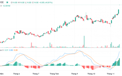 Cổ phiếu EVN: Thông tin, Phân loại, Tiềm năng và Cách đầu tư hiệu quả