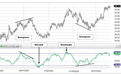 MFI: Thông tin, Đặc điểm, Công dụng và Cách sử dụng