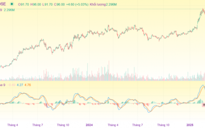 Cổ phiếu CTD: Thông tin, Lịch sử giá, Nhận định và Tiềm năng đầu tư