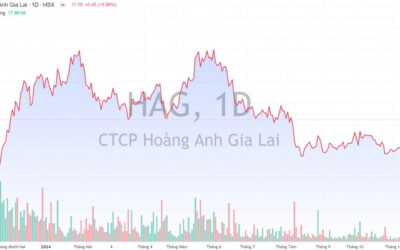 Cổ phiếu HAG: Thông tin, Đặc điểm, Tiềm năng và Cách đầu tư hiệu quả