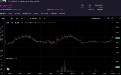 Cổ phiếu VPS: Thông tin, Đặc điểm, Vị thế thị trường và Cách thức đầu tư