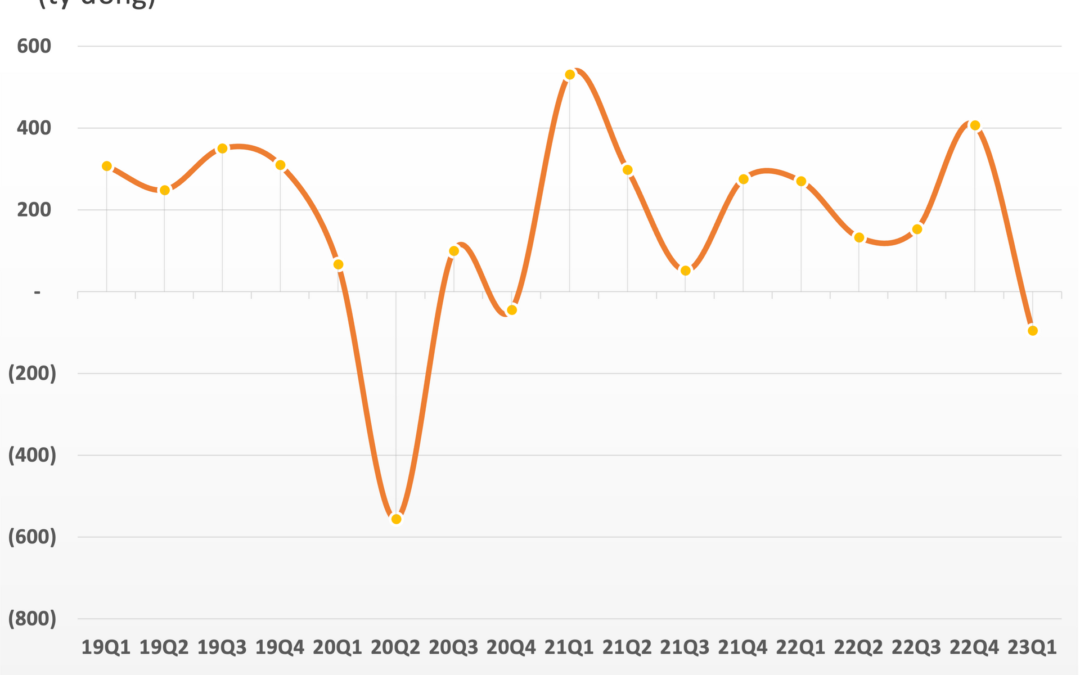 Lịch sử giá cổ phiếu DXG: Thông tin, Đặc điểm, Diễn biến và Cách đầu tư
