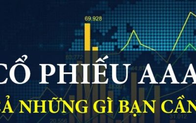 Cổ phiếu AAA: Thông tin doanh nghiệp, Đặc điểm kinh doanh, Tiềm năng tăng trưởng và Chiến lược đầu tư