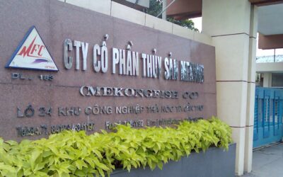 Cổ phiếu AAM: Thông tin, Đặc điểm, Biến động giá và Chiến lược đầu tư