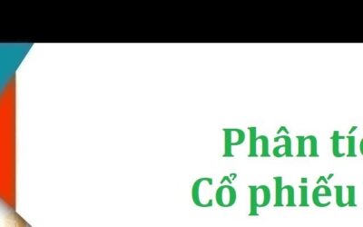 Cổ phiếu ABI: Thông tin doanh nghiệp, Đặc điểm tài chính, Tiềm năng tăng trưởng và Chiến lược đầu tư