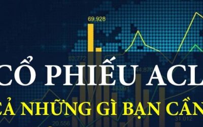 Cổ phiếu ACL: Thông tin doanh nghiệp, Chỉ số tài chính, Tiềm năng đầu tư và Định giá