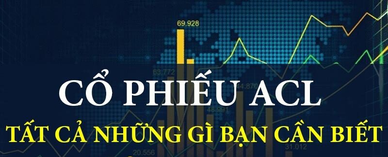 Cổ phiếu ACL: Thông tin doanh nghiệp, Chỉ số tài chính, Tiềm năng đầu tư và Định giá