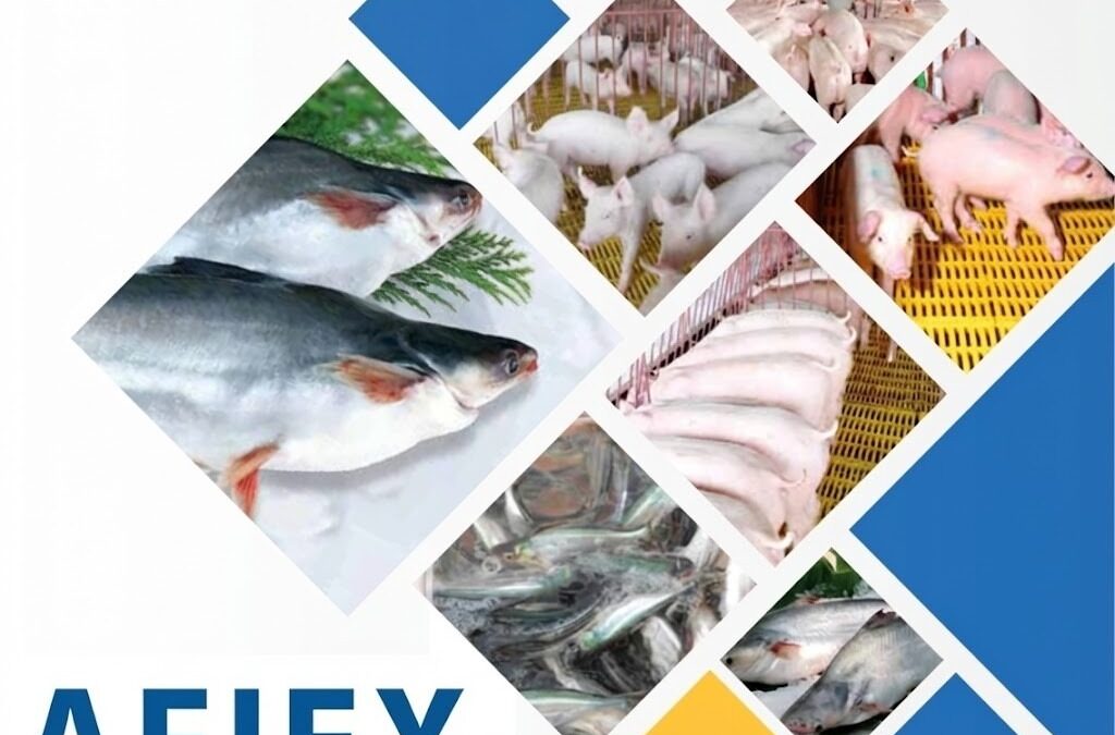 Cổ phiếu AFX: Thông tin, Đặc điểm, Đánh giá và Triển vọng đầu tư