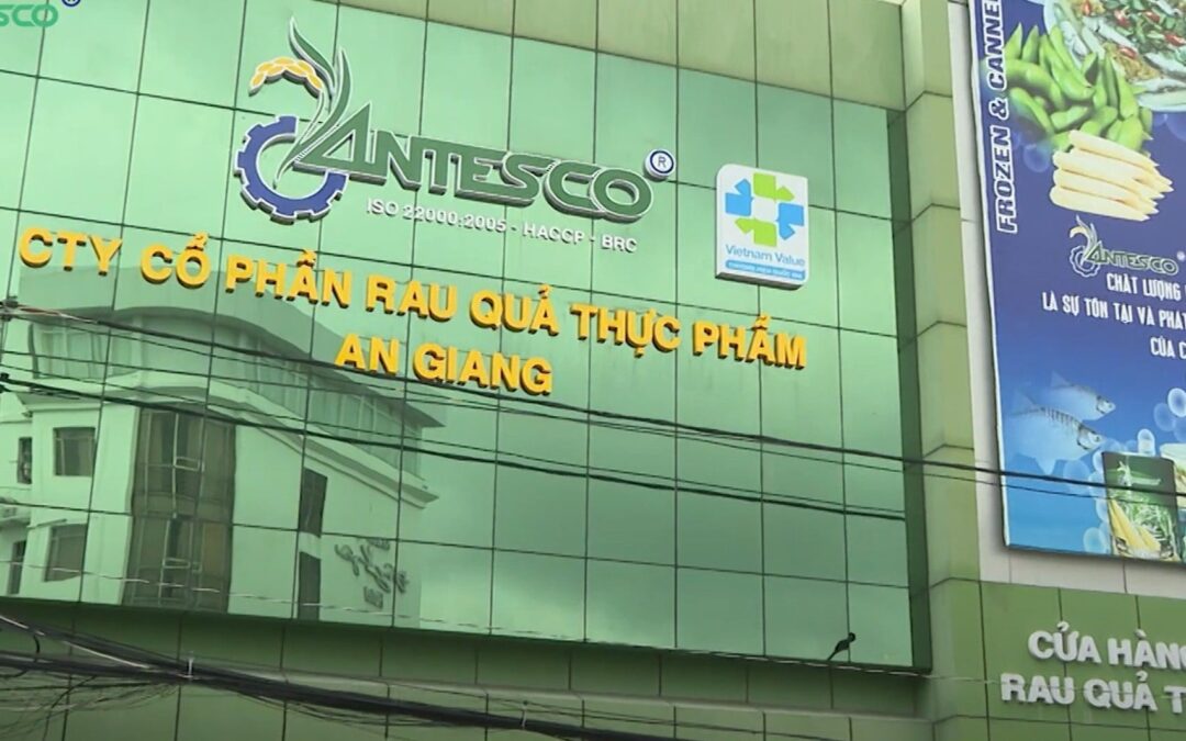 Cổ phiếu ANT: Thông tin niêm yết, Đặc điểm tài chính, Hiệu quả đầu tư và Cách mua