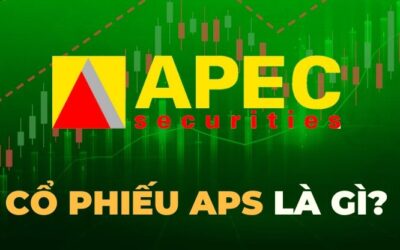 Cổ phiếu ASP: Thông tin doanh nghiệp, Chỉ số tài chính và Triển vọng đầu tư