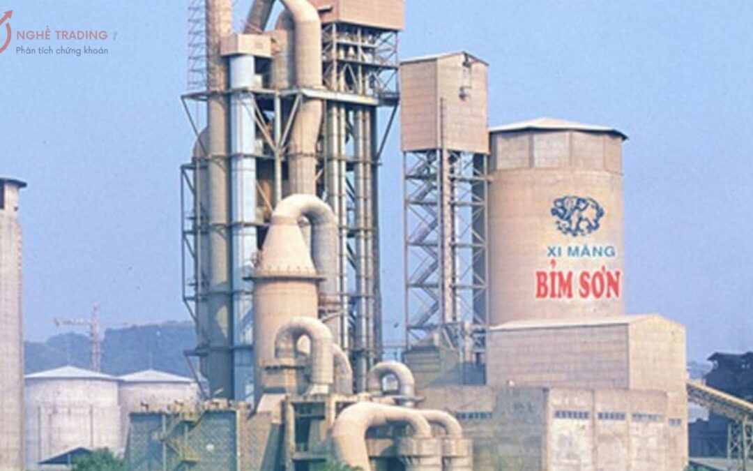 Cổ phiếu BCC: Thông tin, Chỉ số tài chính, Triển vọng và Chiến lược đầu tư