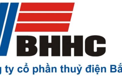 Cổ phiếu BHA: Thông tin doanh nghiệp, Chỉ số tài chính, Tiềm năng tăng trưởng và Chiến lược đầu tư