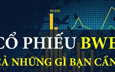 Cổ phiếu BWE: Thông tin doanh nghiệp, Phân tích tài chính, Triển vọng tăng trưởng và Chiến lược đầu tư hiệu quả