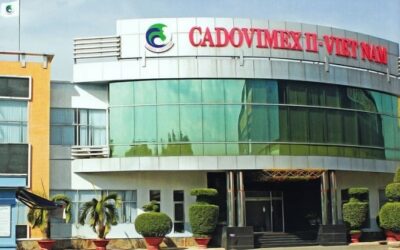 Cổ phiếu CAD: Thông tin, Đặc điểm, Rủi ro và Chiến lược đầu tư