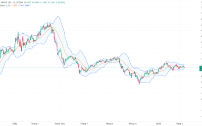 Cổ phiếu C4G: Thông tin, Đặc điểm, Vị thế và Triển vọng đầu tư